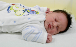 Tóth Konor, Jánossomorja