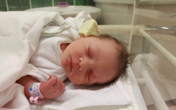 Giczi Mira Réka, Mosonmagyaróvár