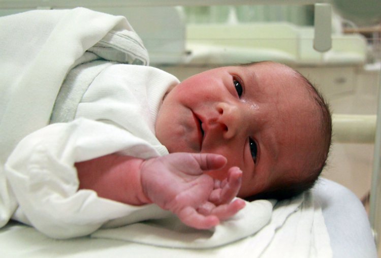 Knolmár Anna, Csorna