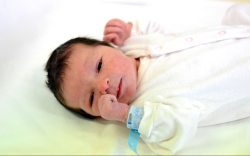 Liszkai Dóra, Dunasziget