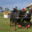 10.  Sajtos-Réti fogathajtó verseny 