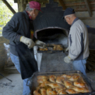 Káposztafesztivál Máriakálnokon