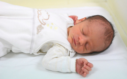 Bodi Róbert Patrik, Mosonmagyaróvár