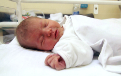 Fördős Réka, Mosonmagyaróvár