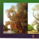 Múltidéző szigetközi képeslapok - Simon Zsuzsanna gyűjteménye