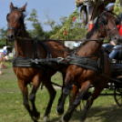 10.  Sajtos-Réti fogathajtó verseny 