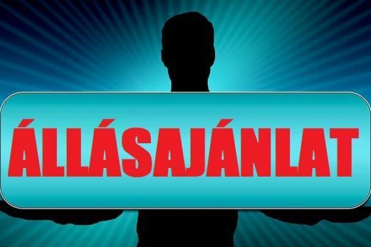 WHC hírek, állásajánlatok