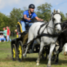 10.  Sajtos-Réti fogathajtó verseny 