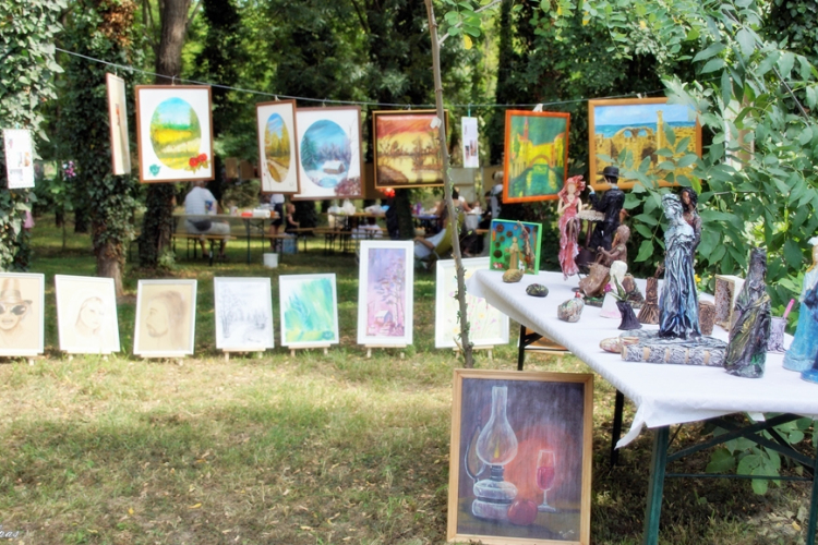 Megrendezték a XI. Fotópikniket Darnózselin