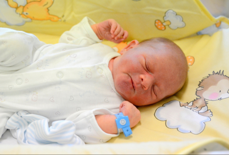 Kiss Botond, Mosonmagyaróvár