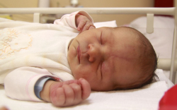 Brasch Betta, Mosonmagyaróvár