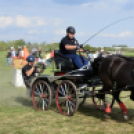 10.  Sajtos-Réti fogathajtó verseny 