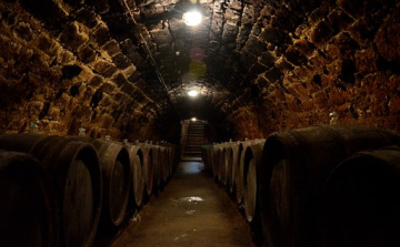 Az ősz egyik veszélye a mustgáz - előzzük meg a baleseteket