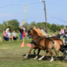 10.  Sajtos-Réti fogathajtó verseny 