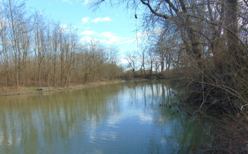 Útszéli vadon - Kalandozások a Szigetközben 5. rész