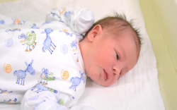 Drahos Bence, Mosonmagyaróvár