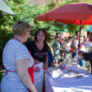 IV. Lébényi Ízőrző Nap