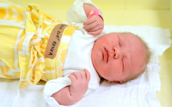 Beke Zoé Janka, Jánossomorja