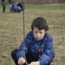 Nefelejcs Gyümölcsöskert avatás Dunaszigeten