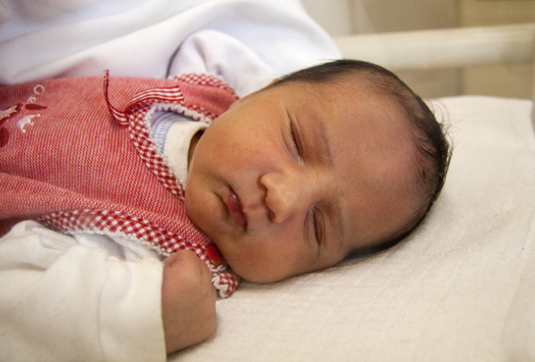 Bajrami Zara, Jánossomorja