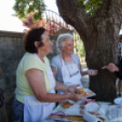 IV. Lébényi Ízőrző Nap