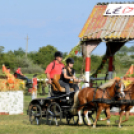 10.  Sajtos-Réti fogathajtó verseny 