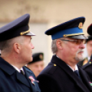 Megyei ünnepi megemlékezés és szoboravatás Lébényben