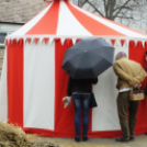 I. Szigetközi Vásár