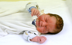 Csaplák Erik, Kimle