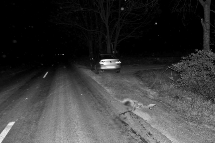 A vadbalesetek elkerülésére hívja fel a figyelmet a rendőrség