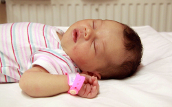 Jankó Natasa, Hegyeshalom