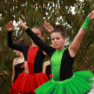 Szigetköz Lelke Pálinkaház - Családi program és a IV. bérfőzetői pálinkaverseny eredményhirdetése