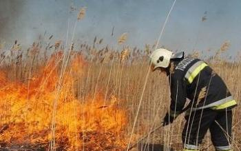  Emelkedik a szabadtéri tüzek száma 