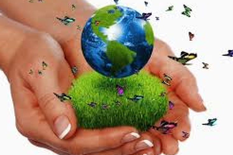 2017.04.01. - Környezetvédelmi nap Dunakilitin