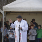 Nefelejcs Gyümölcsöskert avatás Dunaszigeten