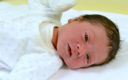 Vitéz Dávid, Mosonmagyaróvár