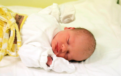 Molnár Olivér, Mosonmagyaróvár