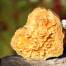 Clematis Szappan Szalon