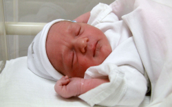 Sipos Ferenc, Halászi