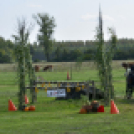 10.  Sajtos-Réti fogathajtó verseny 