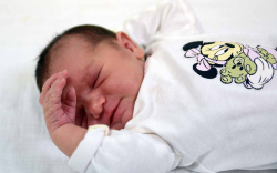 Tarsoly Rebeka, Levél