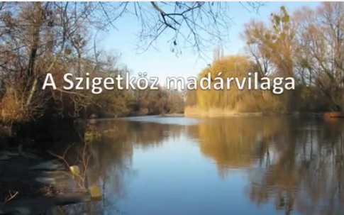 A Szigetköz madárvilága