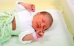 Sas Mia, Mosonmagyaróvár