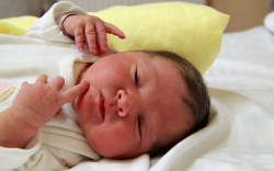 Kovács Hédi, Fertőszéplak