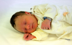 Buzás Anna, Mezőlak