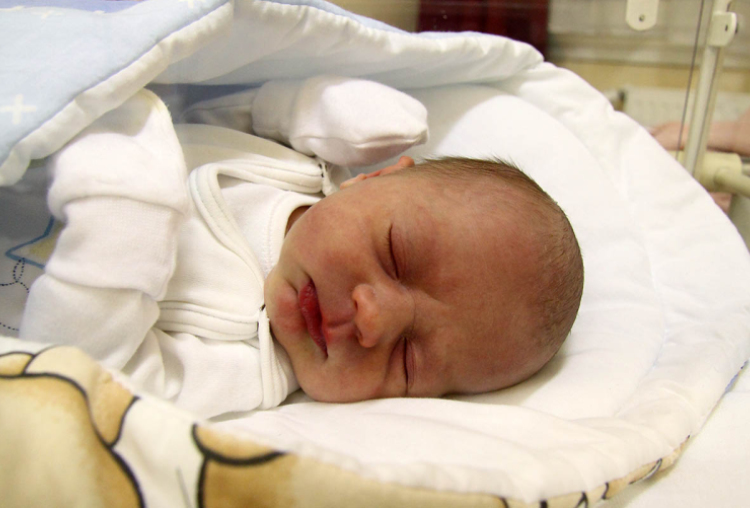 Pongrácz Dominik, Győrsövénytár