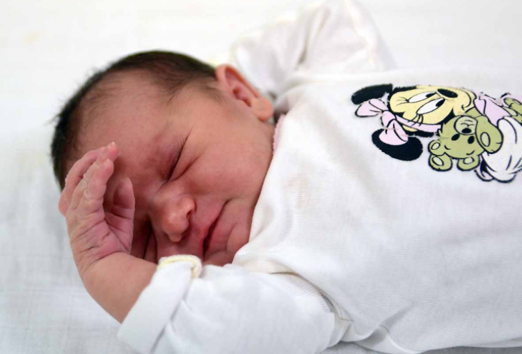 Tarsoly Rebeka, Levél