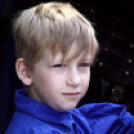 Szigetközi gulyahajtás 2018