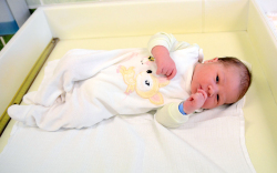 Uccheddu Valentino, Mosonmagyaróvár