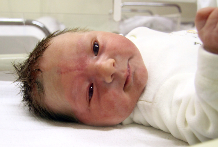 Tompos Kornél, Barbacs